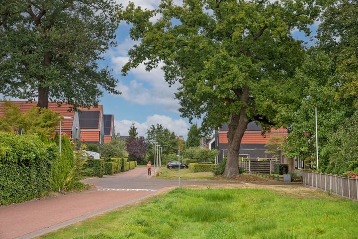 Photo 46 of Raanhuisstraat 11