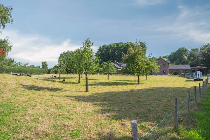 Photo 3 of Honthem 26