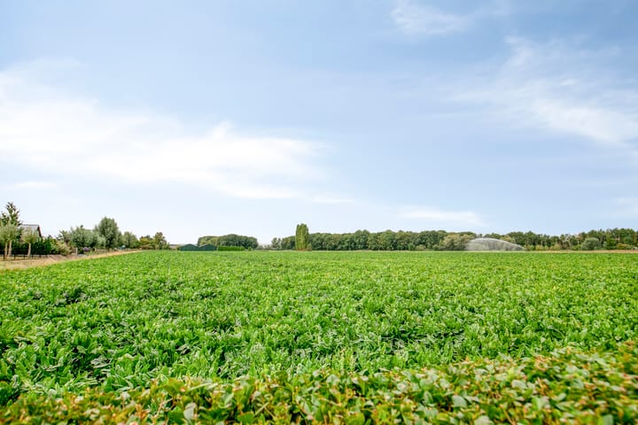 Photo 3 of Olmendreef 2-C