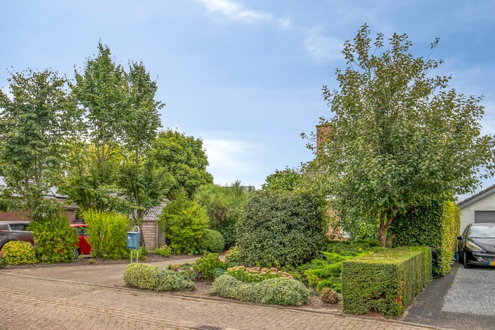 Foto 35 van Olmendreef 2-C