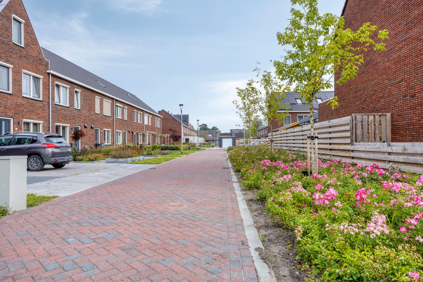 Foto 44 van Burgemeester de Sitterstraat 4