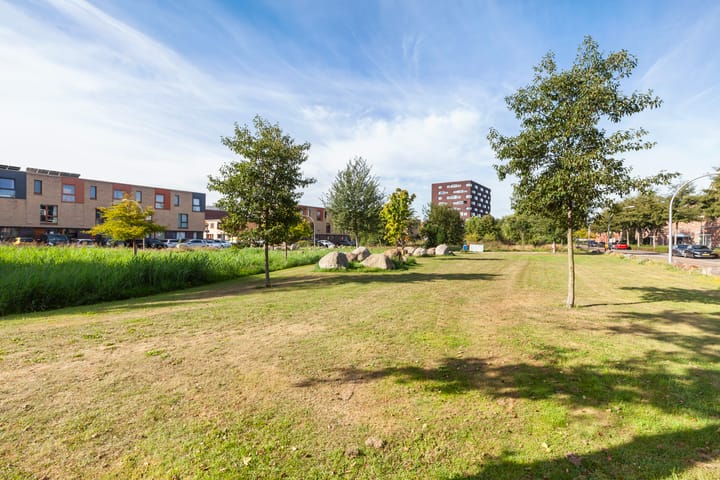 Foto 49 van Johan de Wittstraat 102