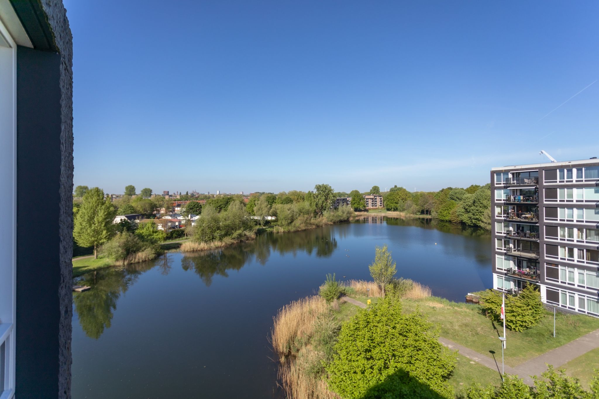 Foto 6 van Bosboompad 50