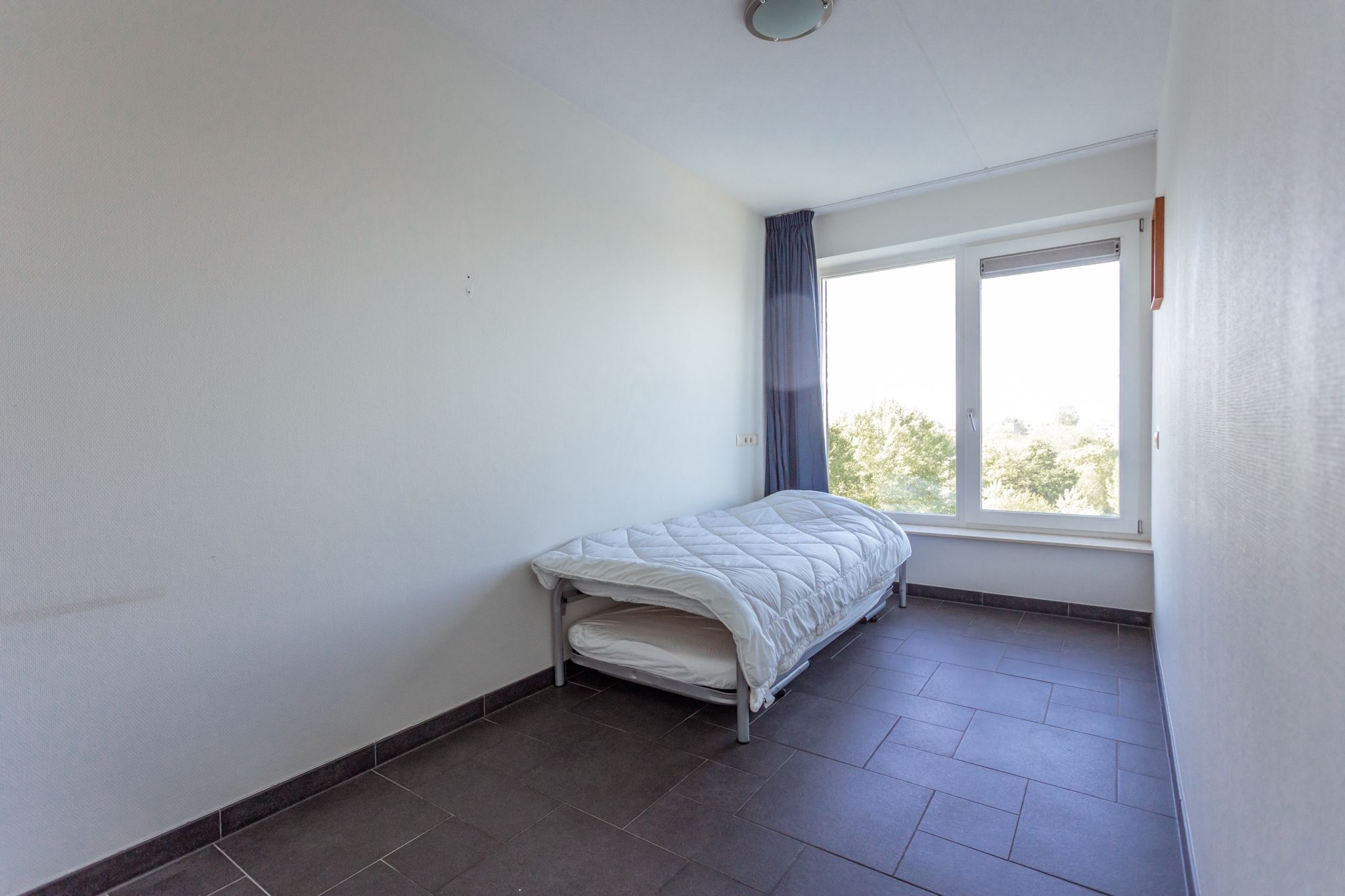 Foto 12 van Bosboompad 50