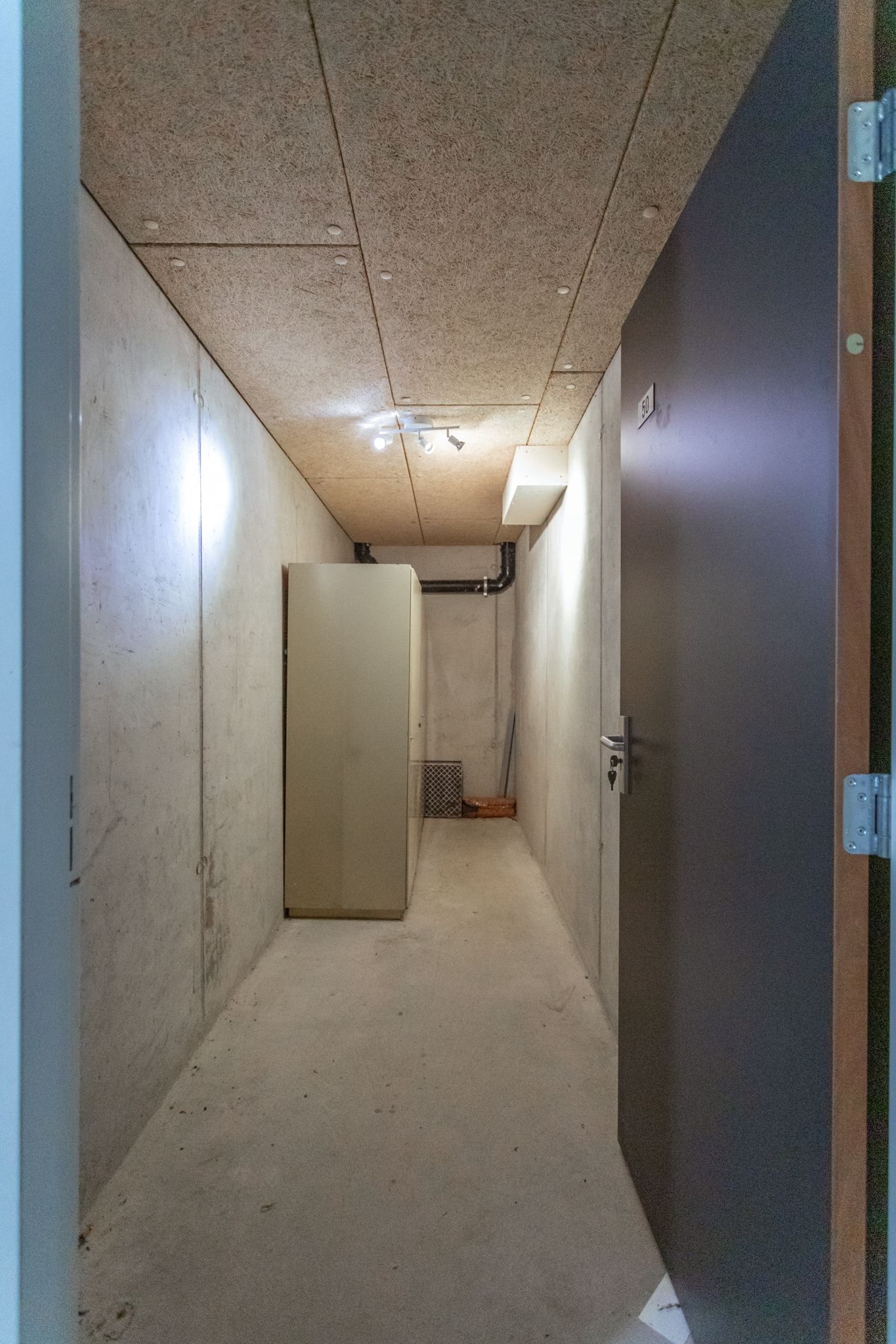 Foto 20 van Bosboompad 50