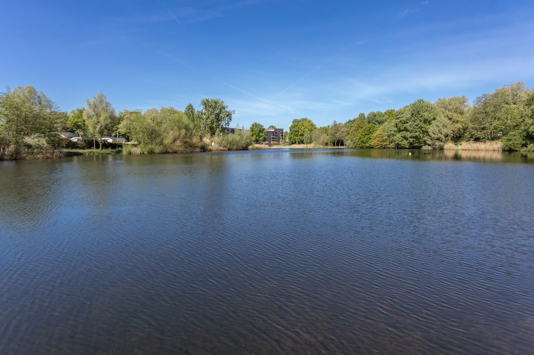 Foto 23 van Bosboompad 50