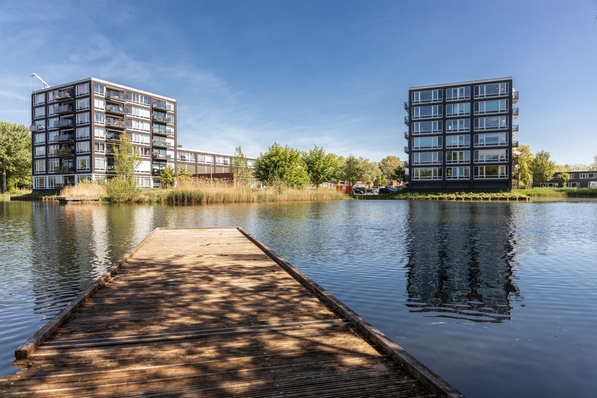 Foto 24 van Bosboompad 50