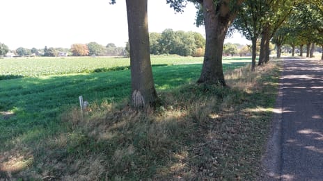 Bekijk foto's