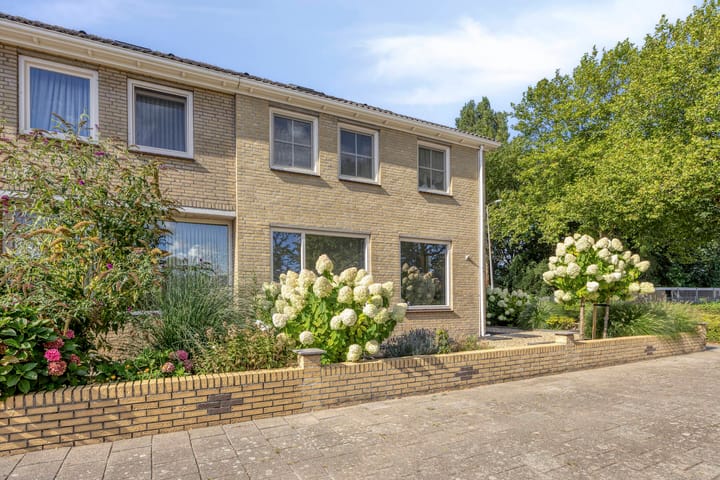 Foto 2 van Lange Dam 40