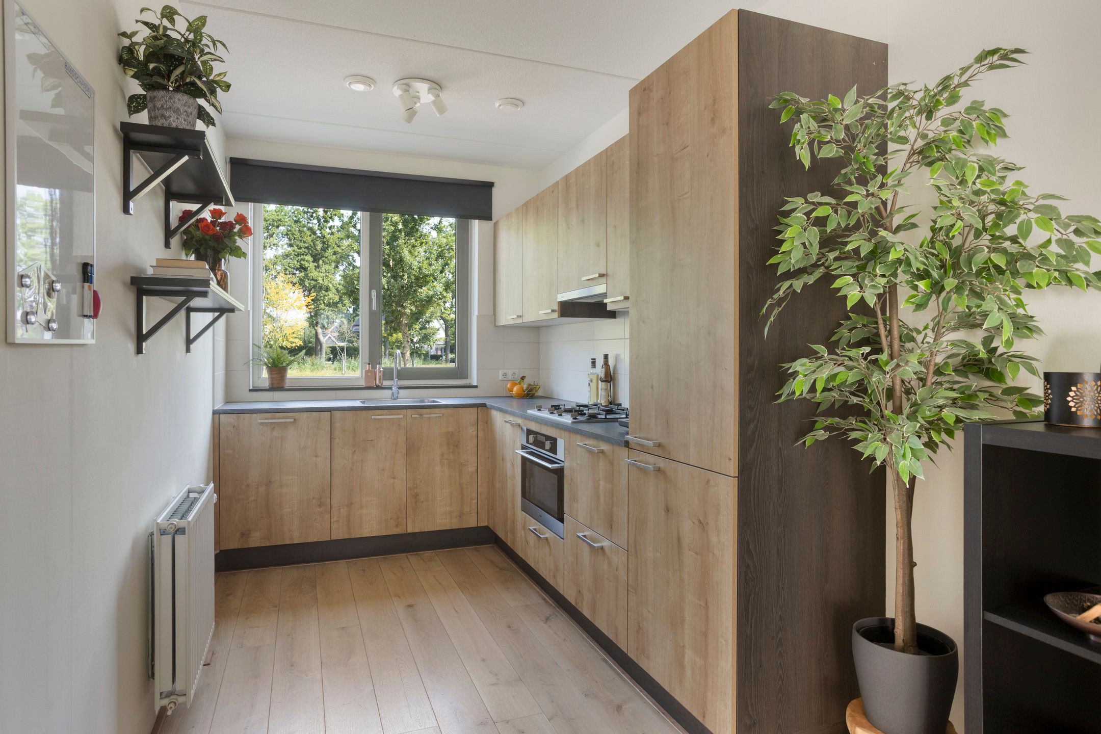 Foto 3 van Honingbij 80