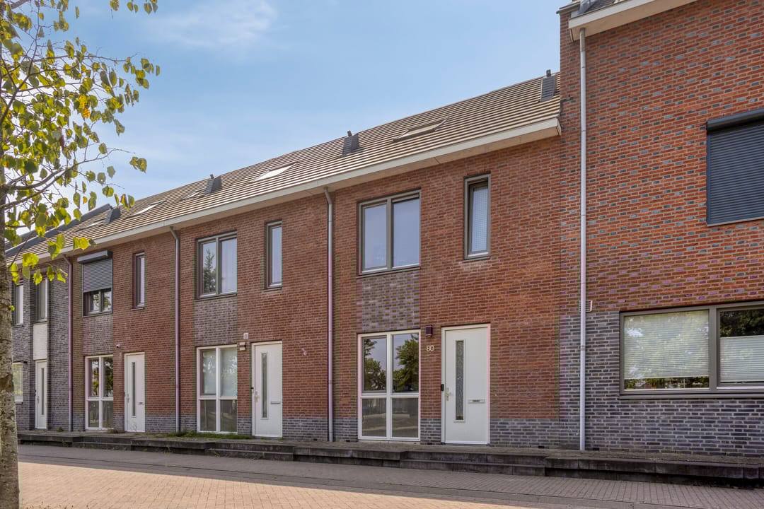 Foto 7 van Honingbij 80