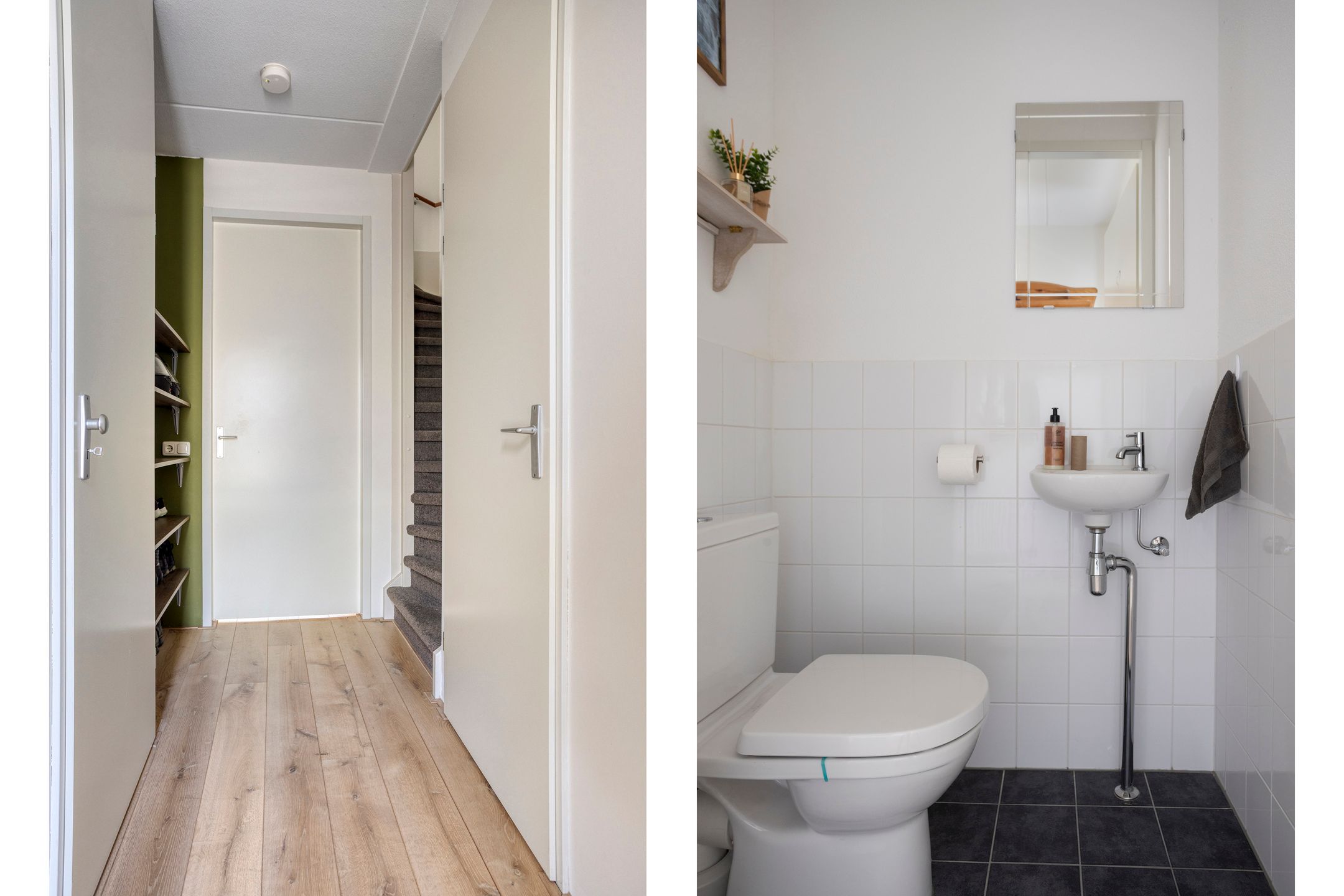 Foto 9 van Honingbij 80