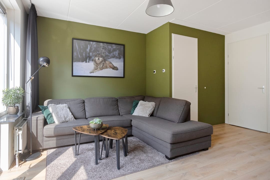 Foto 11 van Honingbij 80