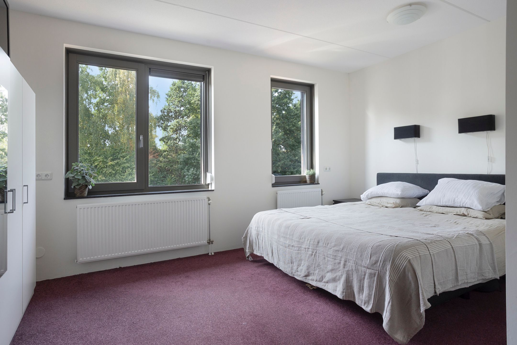 Foto 18 van Honingbij 80