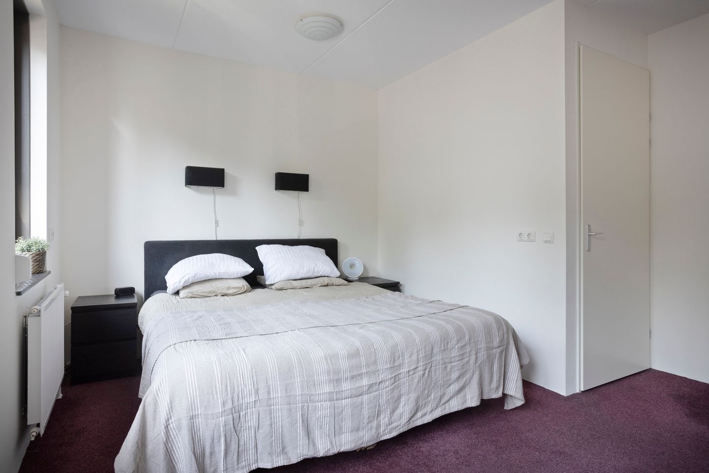 Foto 19 van Honingbij 80