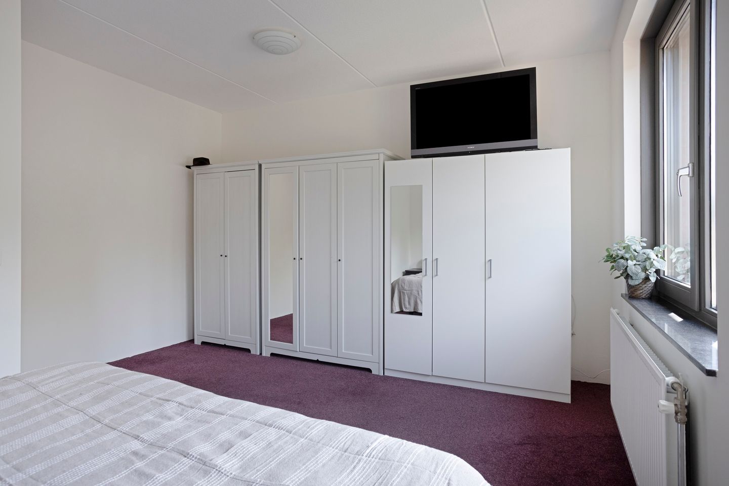 Foto 20 van Honingbij 80