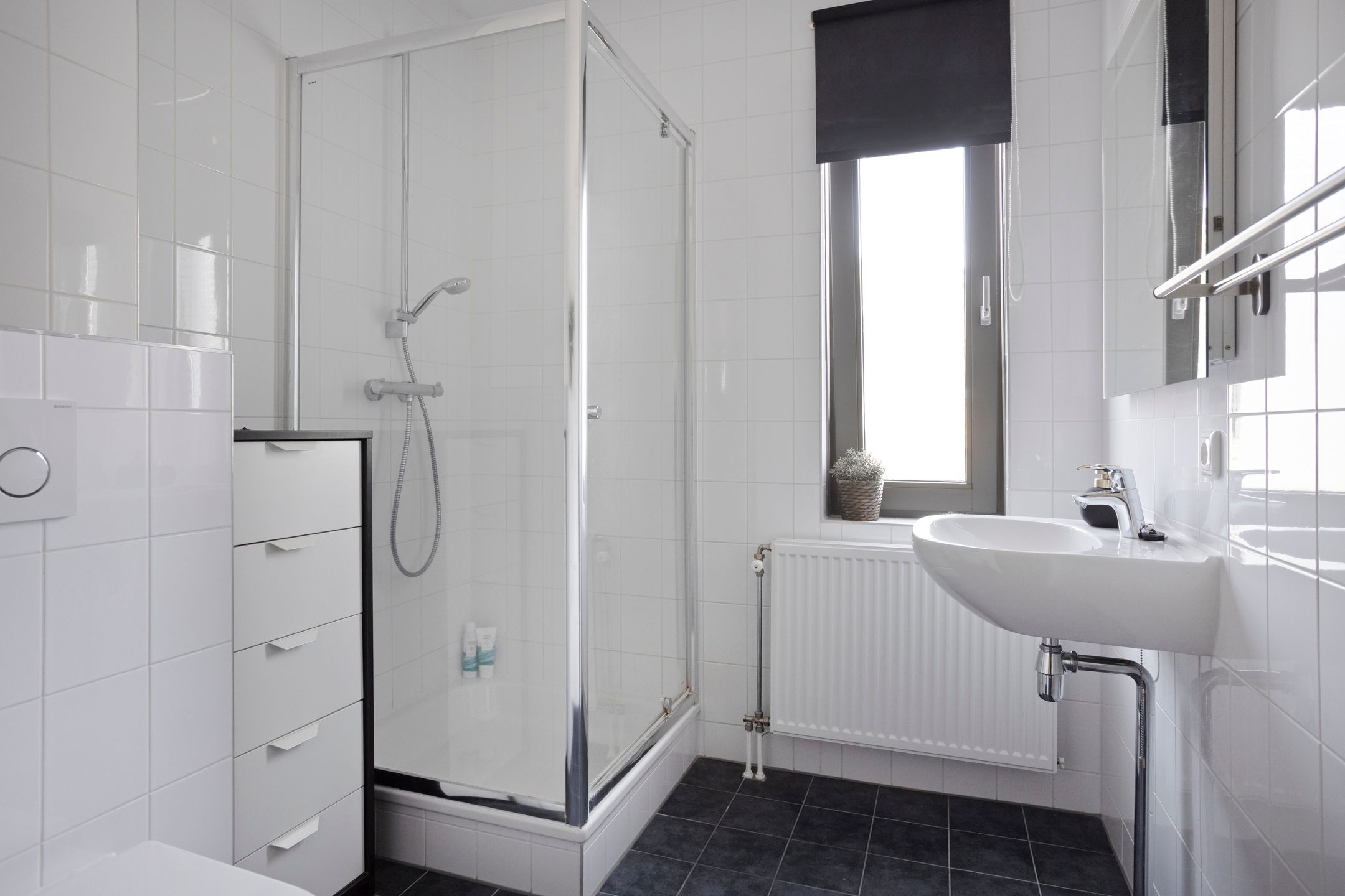 Foto 21 van Honingbij 80