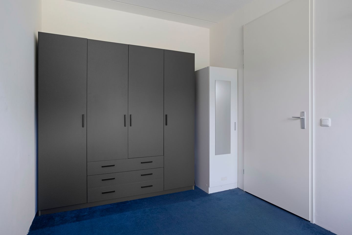 Foto 25 van Honingbij 80