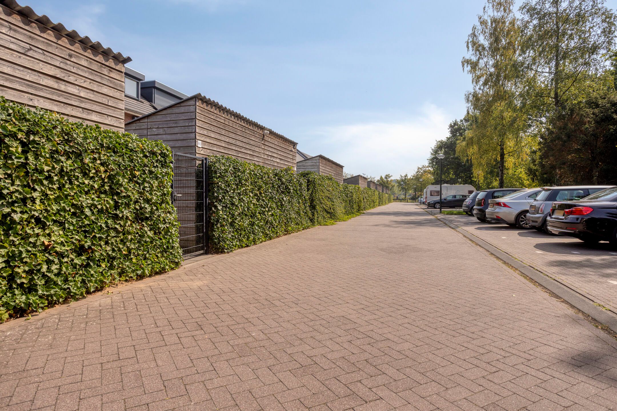 Foto 33 van Honingbij 80