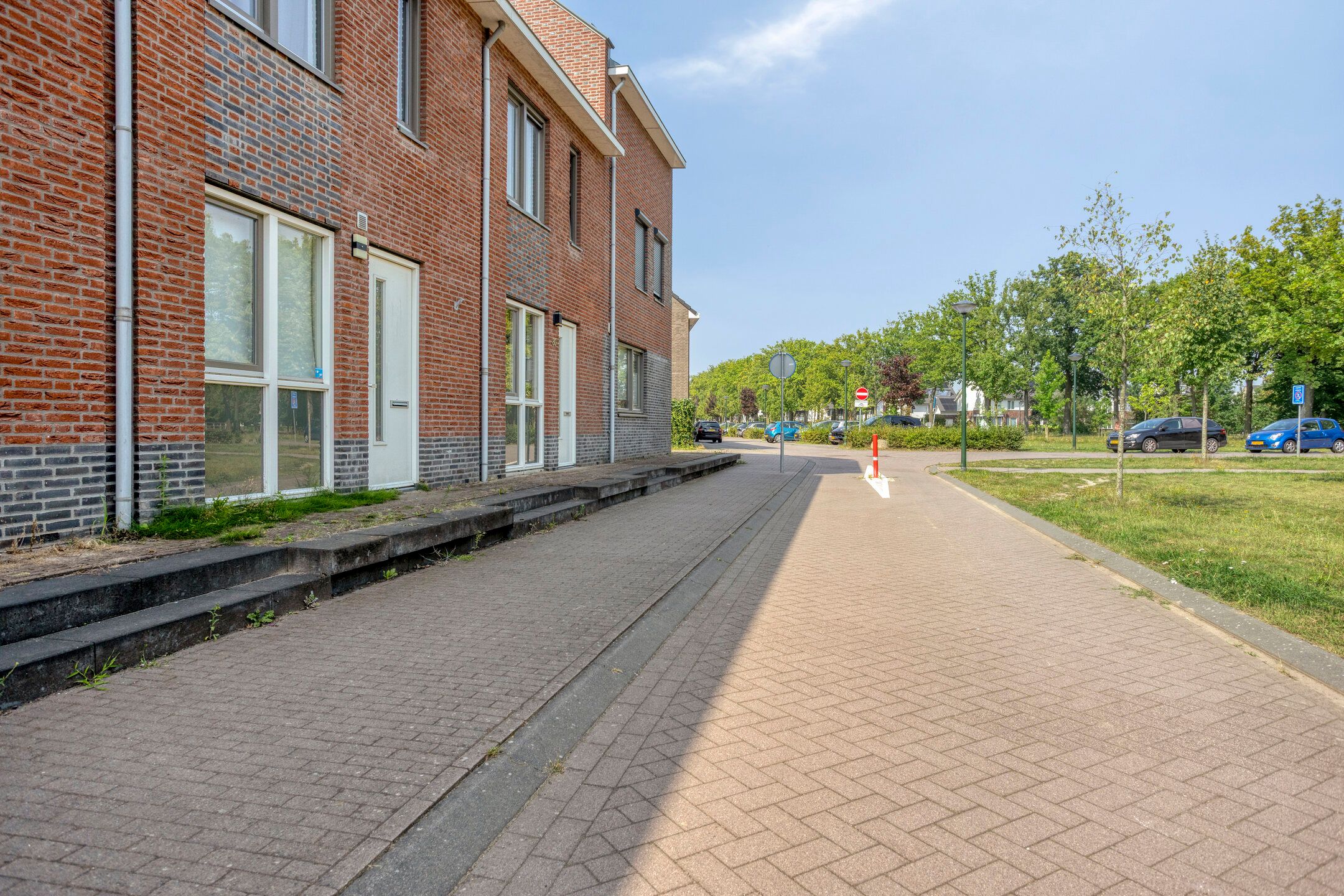 Foto 36 van Honingbij 80