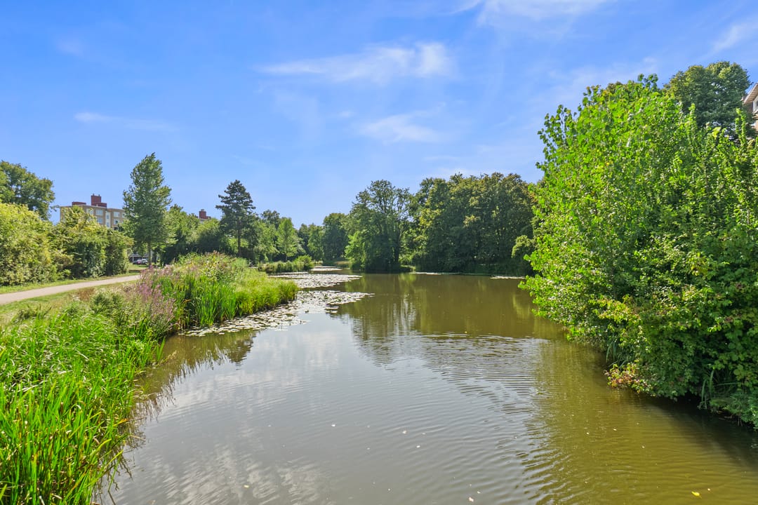 Foto 38 van Sportlaan 84