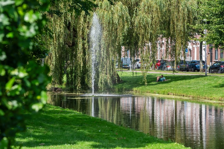 Foto 15 van Hooidrift 153-A02