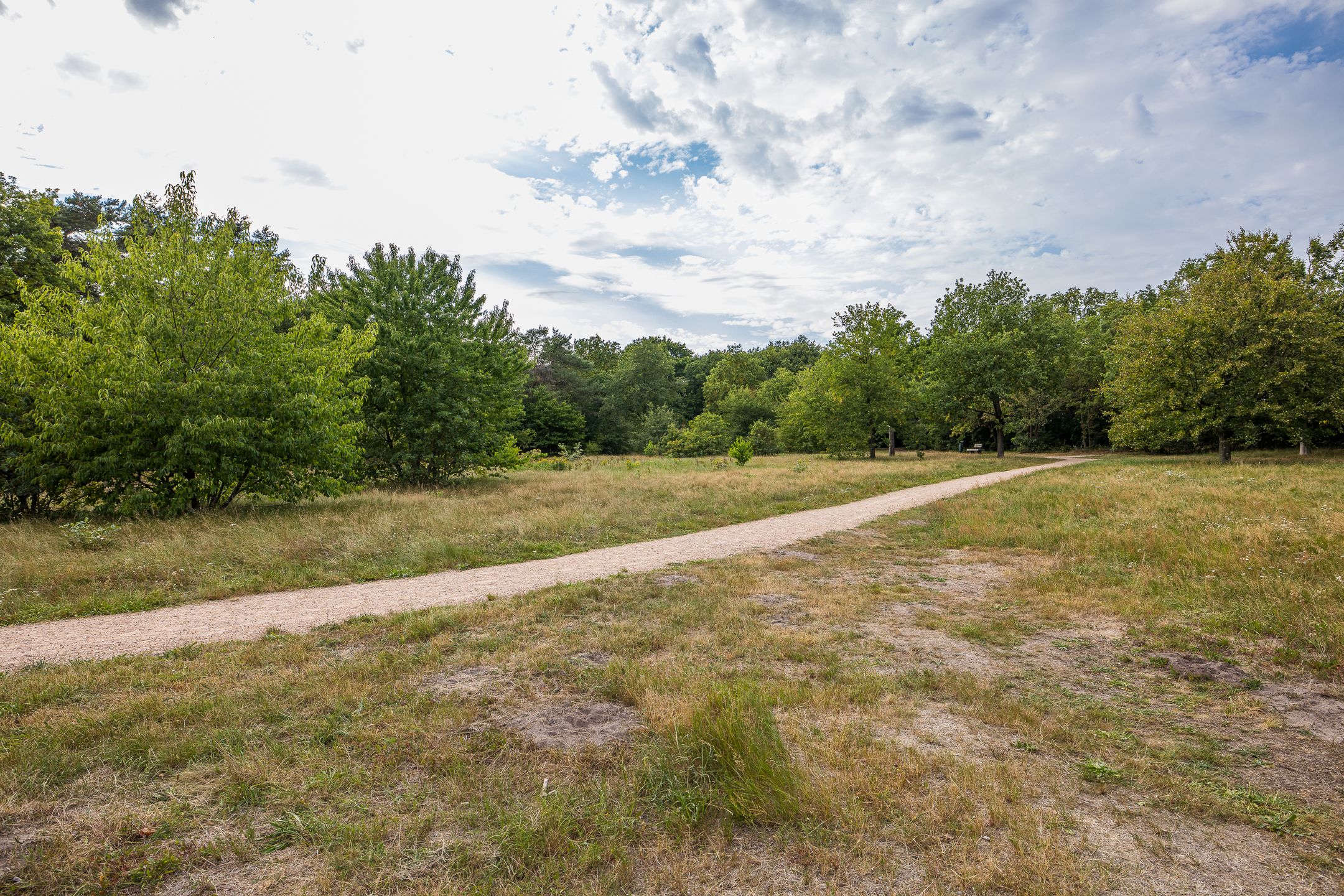 Photo 42 of Dr. Lelylaan 61