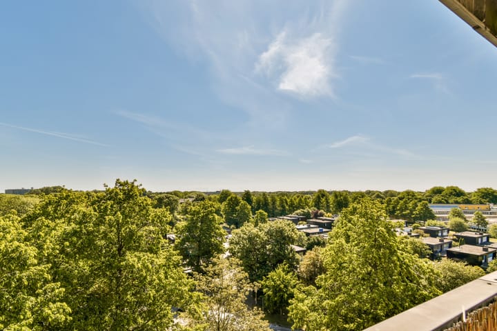 Foto 2 van Zevenblad 72