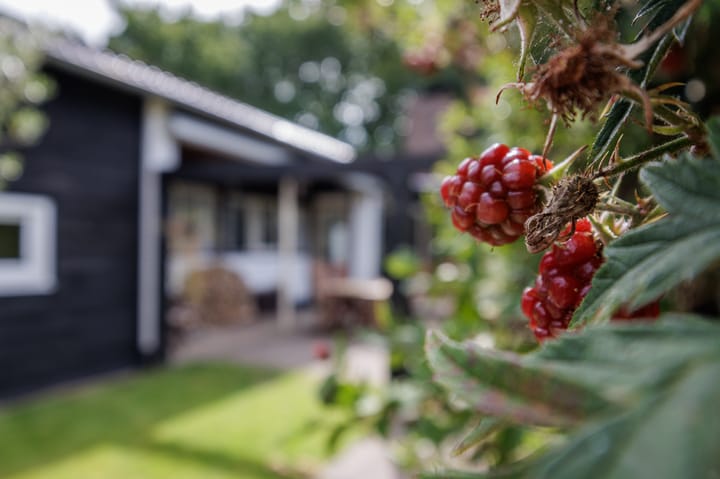 Foto 4 van Hovinge 3