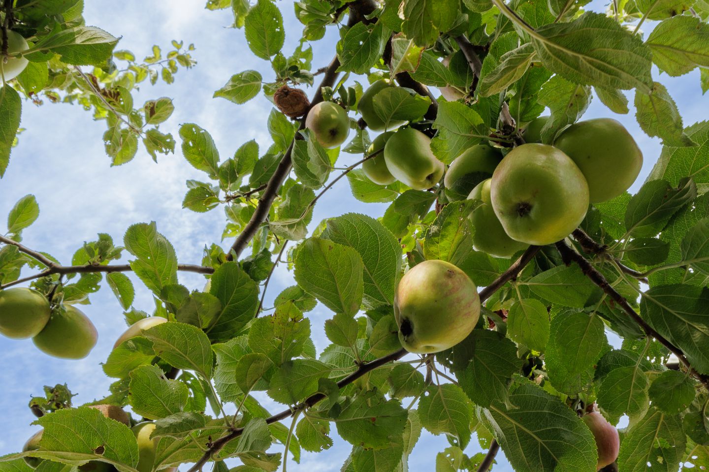 Foto 10 van Hovinge 3