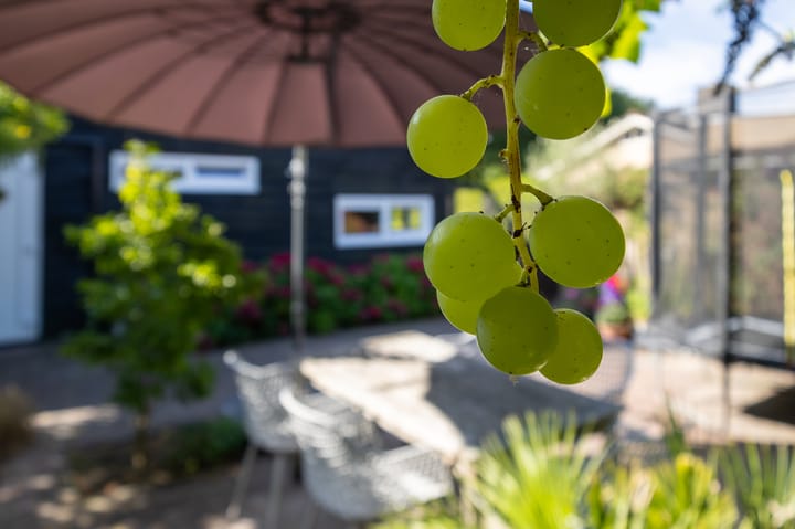 Foto 28 van Hovinge 3