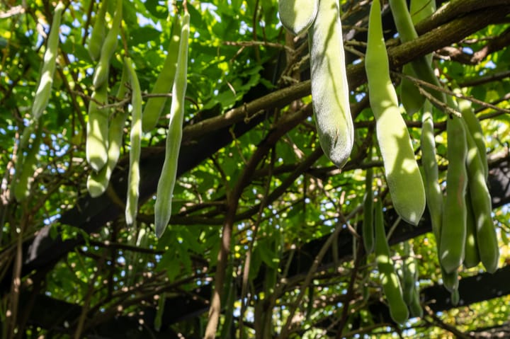 Foto 30 van Hovinge 3