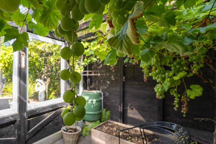 Foto 33 van Hovinge 3