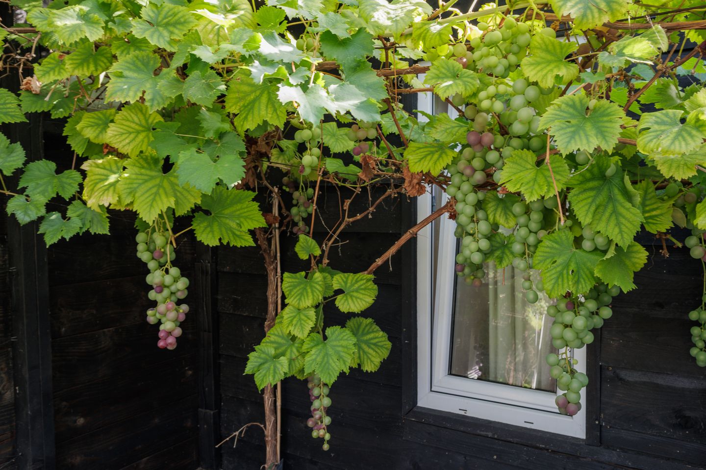 Foto 34 van Hovinge 3