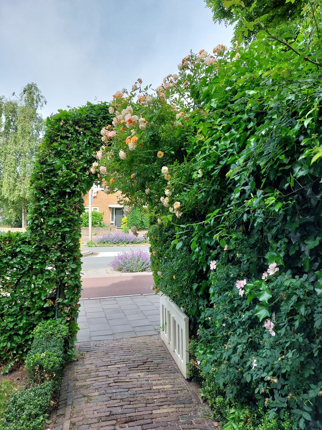 Foto 8 van Van den Vondellaan 33