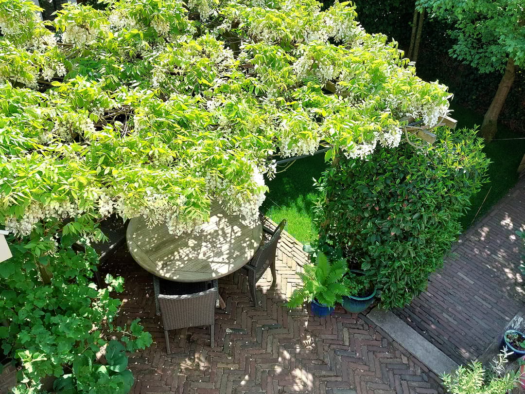 Foto 37 van Van den Vondellaan 33