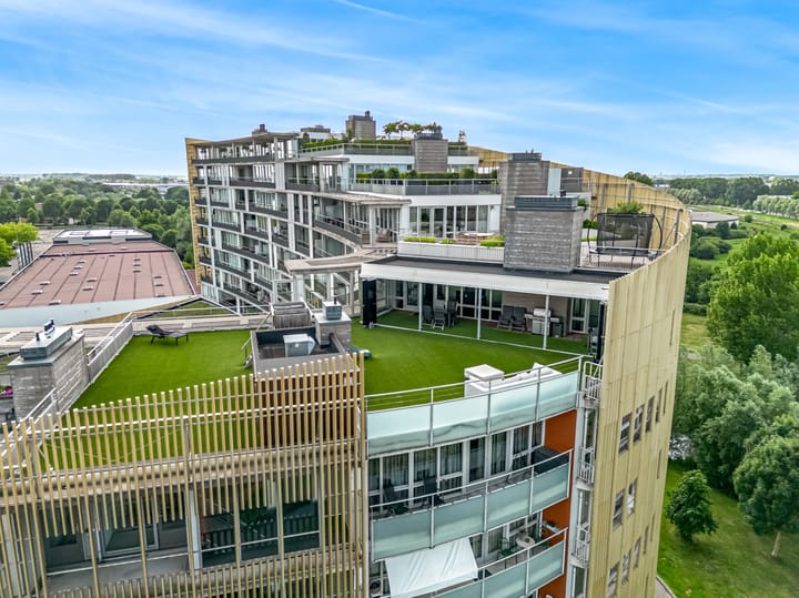 Zuidland 61 main image