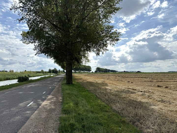 Nieuwslag, Elst (GE)