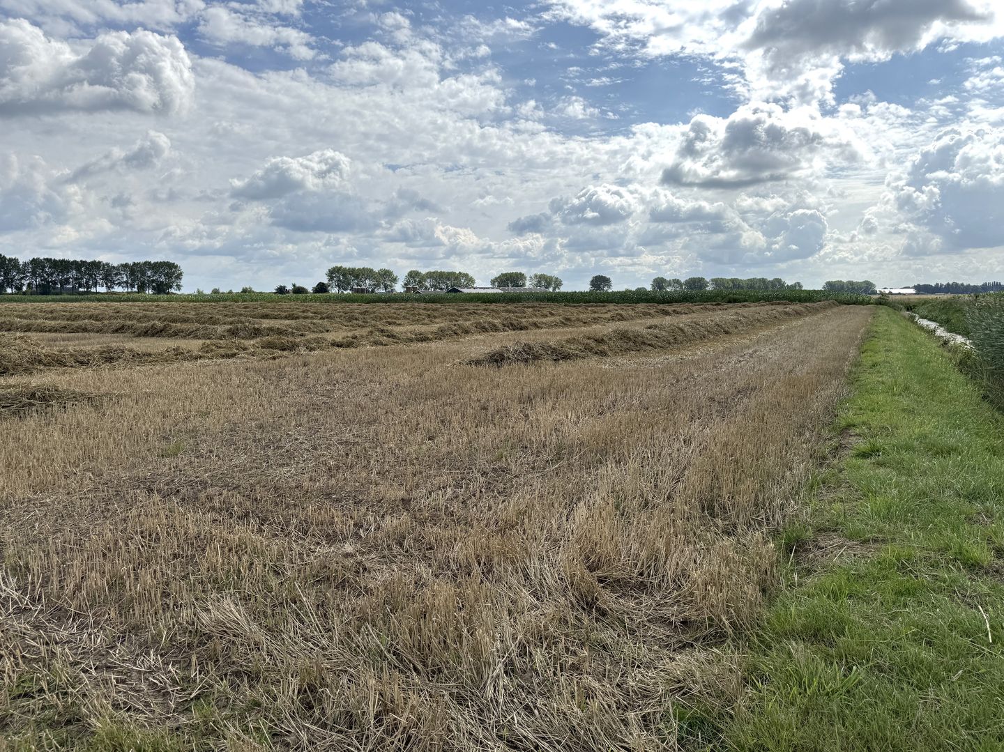 Bekijk foto 3 van Nieuwslag