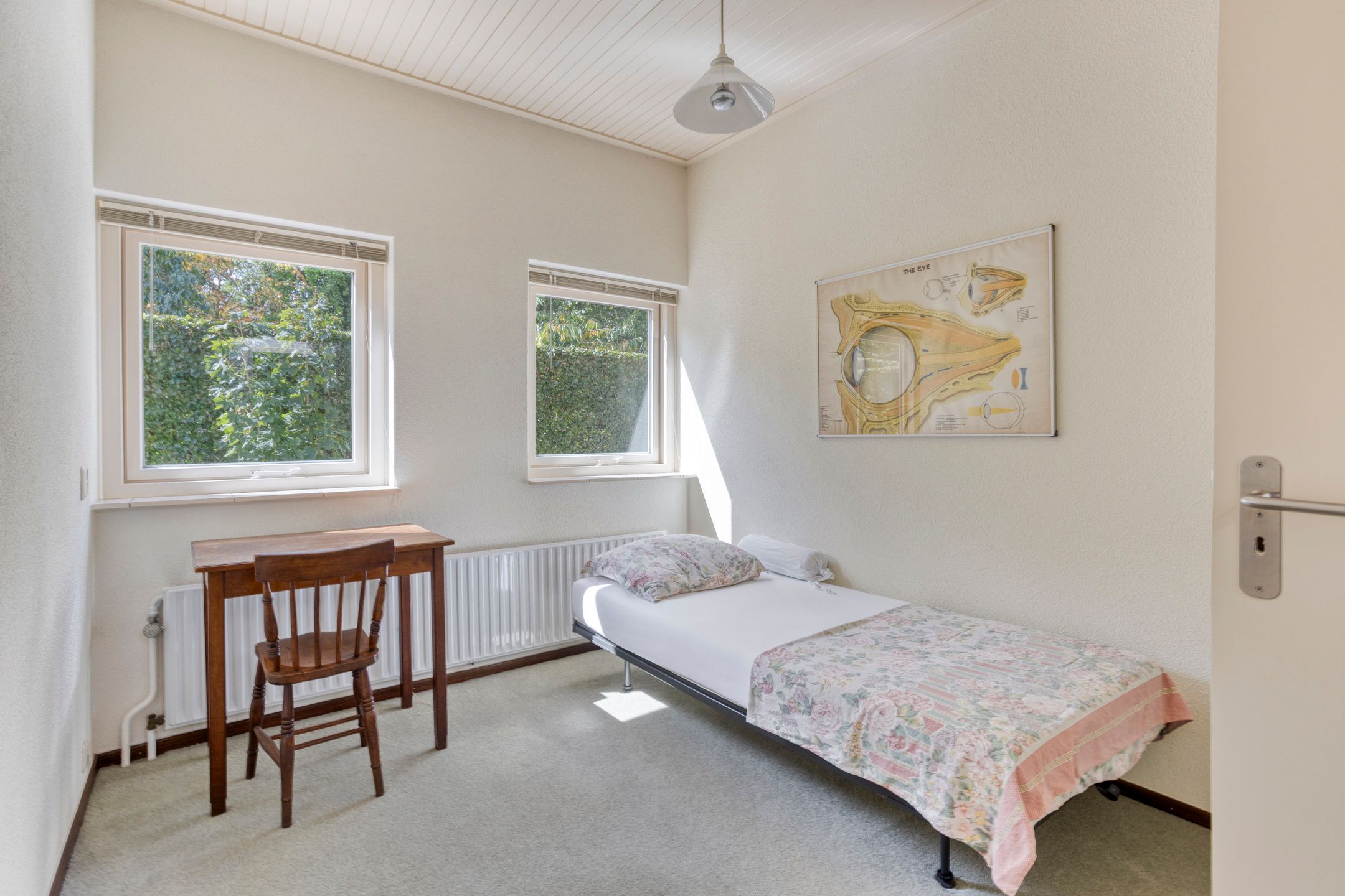 Foto 18 van Kempensbos 12