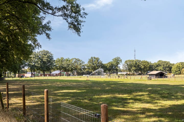 Foto 31 van Kempensbos 12