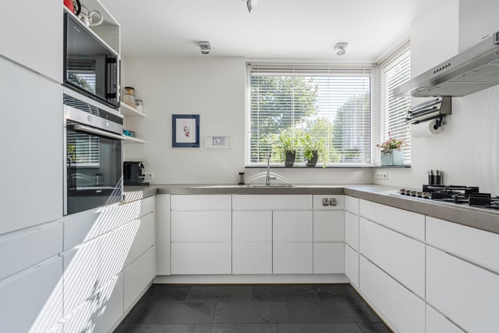 Foto 3 van Kwikstaart 5