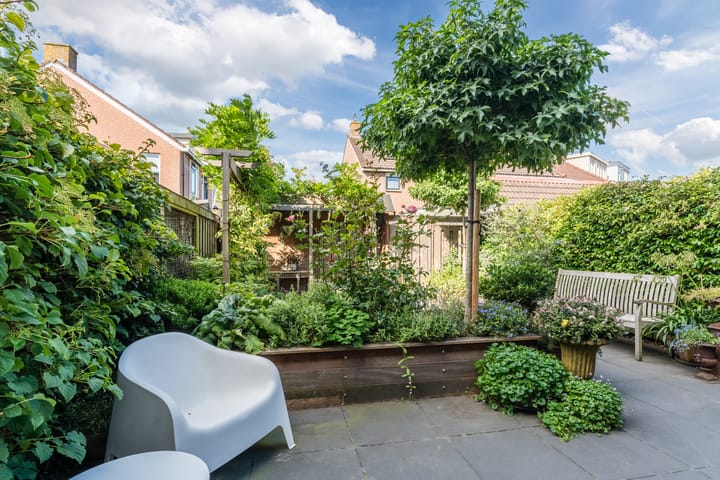 Foto 6 van Kwikstaart 5