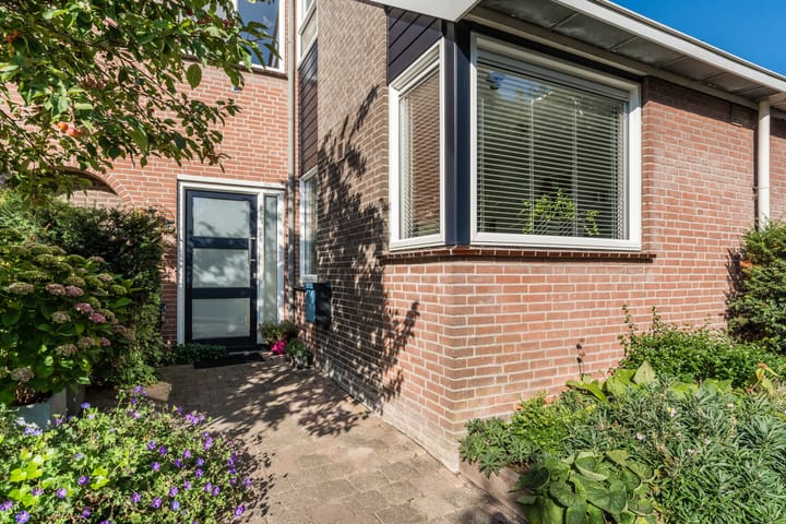 Foto 7 van Kwikstaart 5