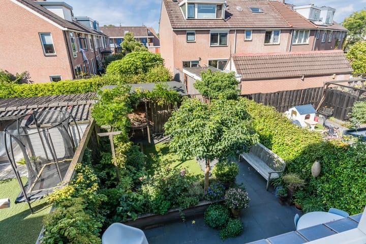 Foto 30 van Kwikstaart 5