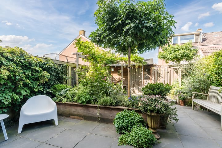 Foto 31 van Kwikstaart 5