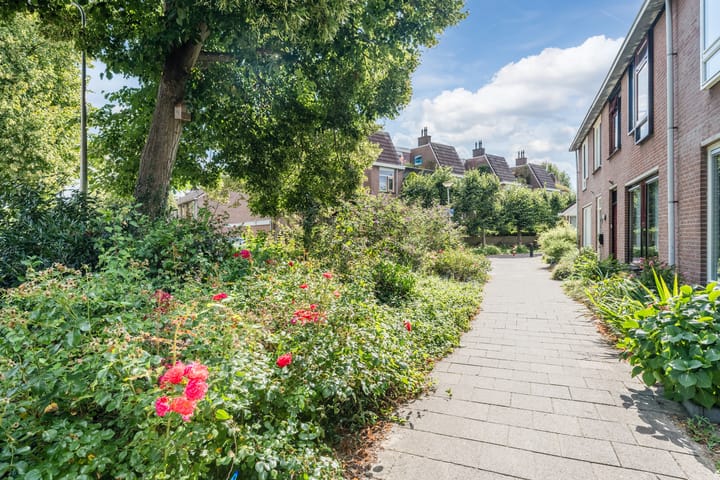 Foto 37 van Kwikstaart 5