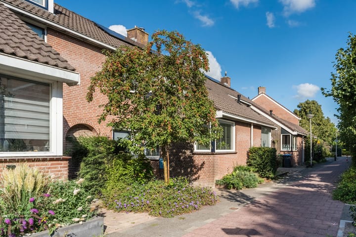 Foto 38 van Kwikstaart 5