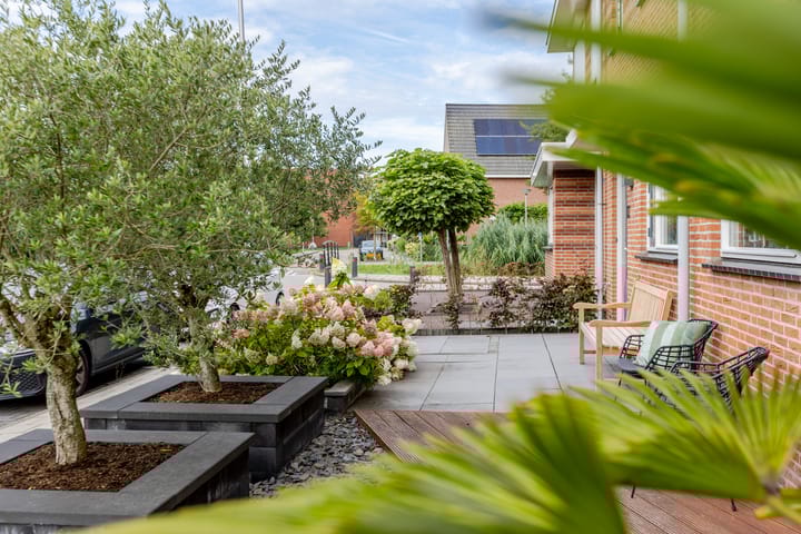 Foto 63 van Het Wapenschild 11