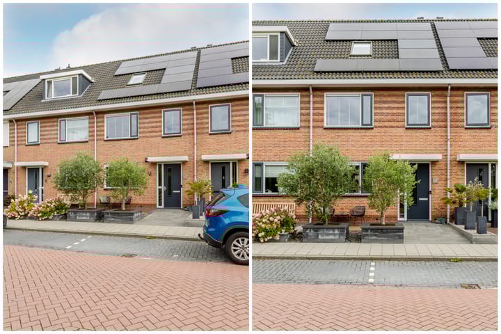 Foto 66 van Het Wapenschild 11